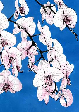 Pink orchids on a blue