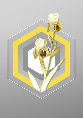 Gray Floral Illustration