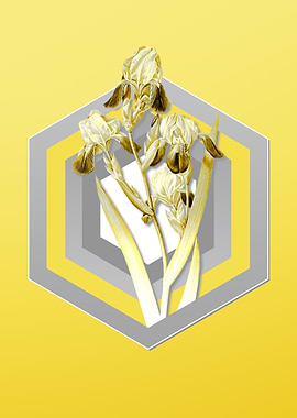 Yellow Floral Illustration