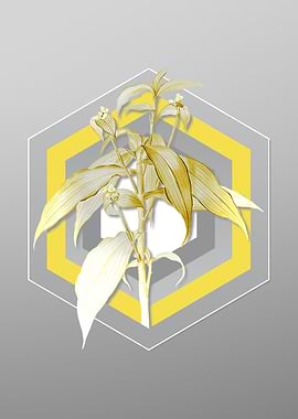 Grey Flower Illustration