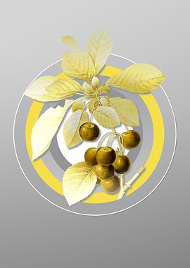 Grey Cherry Botanical Art