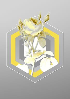 Gray Floral Illustration