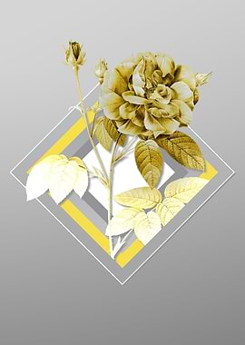Grey Floral Illustration