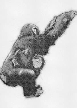 Monkey Pencil Sketch Arts