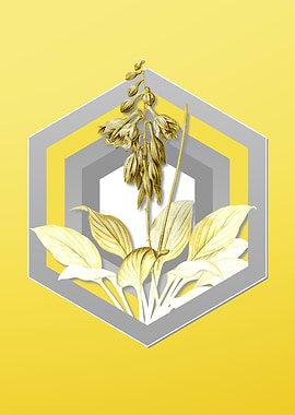 Yellow Floral Illustration