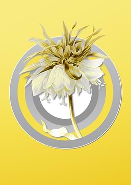 Yellow Kaisers Crown Flora