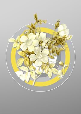 Gray Botanical Drawing