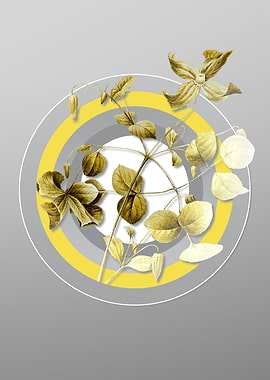 Gray Botanical Drawing