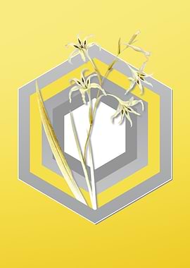 Yellow Vintage Gladiolus