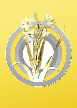 Yellow Vintage Gladiolus