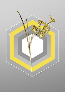 Gray and Yellow Gladiolus