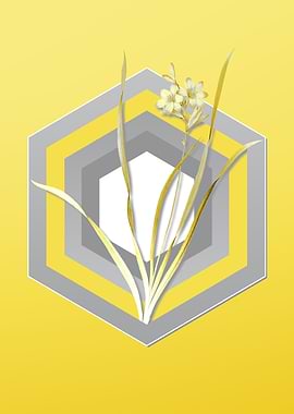 Yellow Vintage Gladiolus