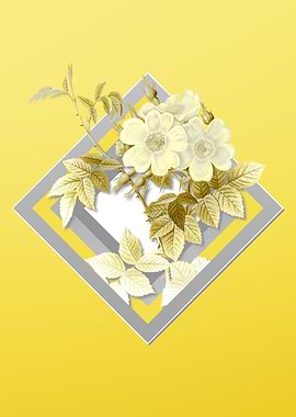 Illuminating Yellow Flower