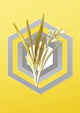 Yellow Vintage Gladiolus