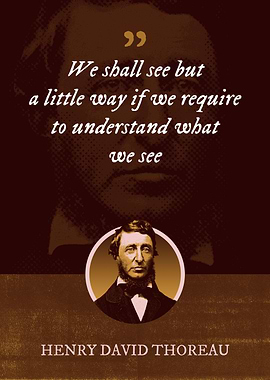 We shall see but a little