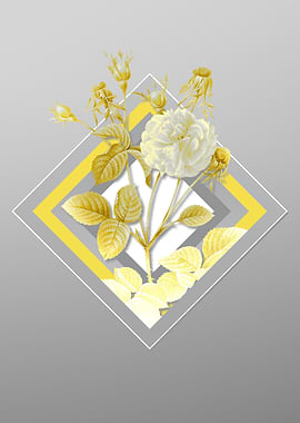 Gray and Yellow Rose Flora