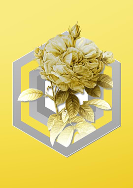 Yellow Vintage Rose Flower