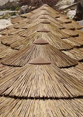 Tropical sun umbrellas