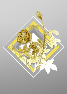 Gray and Yellow Moss Rose