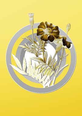 Yellow Flower Illustration