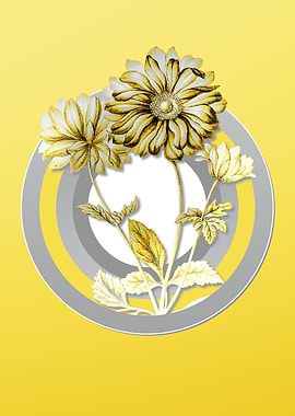 Yellow Hyacinth Flower