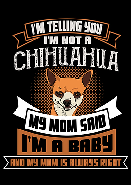 Chihuahua Puppy Saying