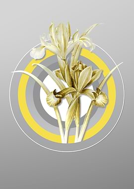 Gray Flower Illustration