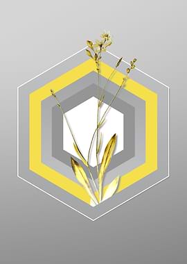 Gray and Yellow Gladiolus