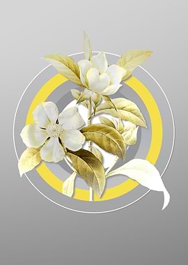 Gray Golden Guinea Vine