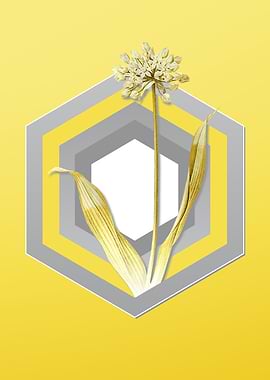 Yellow Vintage Garlic Art