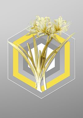 Gray Golden Hurricane Lily