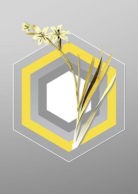 Gray and Yellow Gladiolus