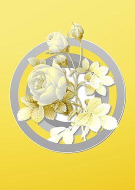 Illuminating Yellow Flower