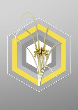 Gray Iris Art Illustration