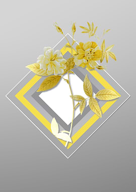 Gray Rosehip Illustration