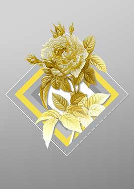 Gray French Rose Flower