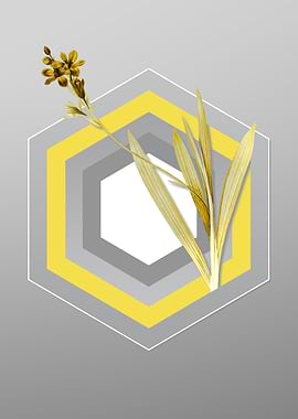 Gray and Yellow Gladiolus