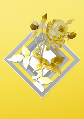 Yellow Provence Rose Flora