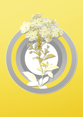 Yellow Flower Illustration