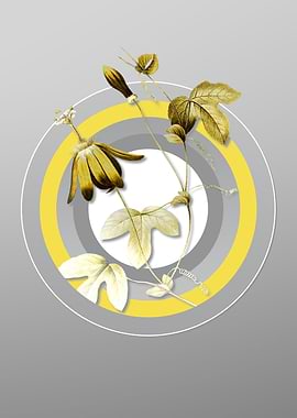 Gray Flower Illustration