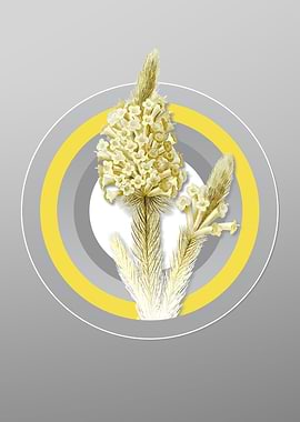 Gray Heather Briar Flower