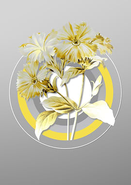 Gray Flower Illustration