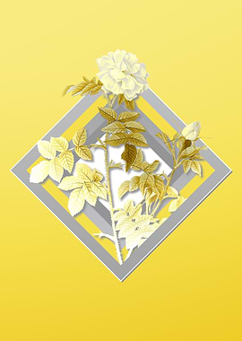 Yellow Pink Rose Flower