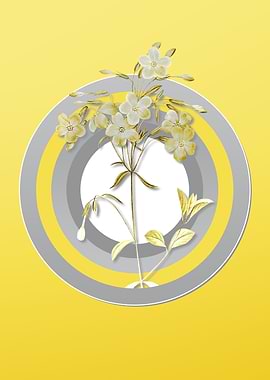 Yellow Flower Illustration