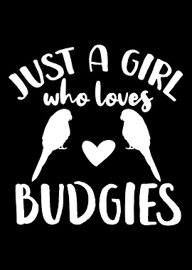 Budgie Budgerigar Budgie L