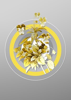 Gray Johnny Jump Up Flower