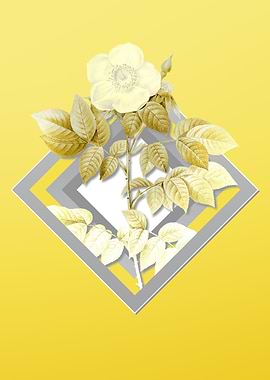 Yellow Rose Illustration
