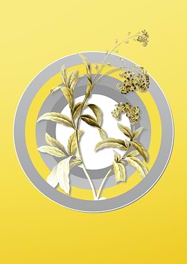 Yellow Flower Drawing