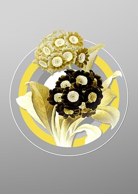 Gray Mountain Cowslip Art