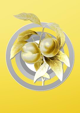 Yellow Peach Illustration
